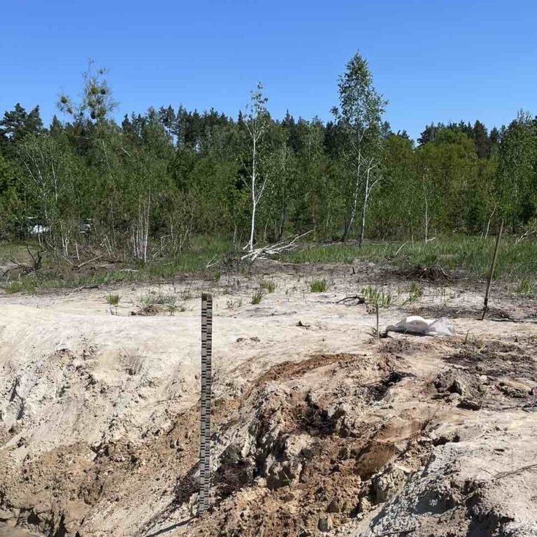 Фіторемедіація земель