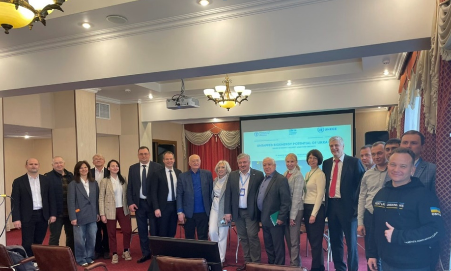 Невикористана біоенергія. Потенціал України